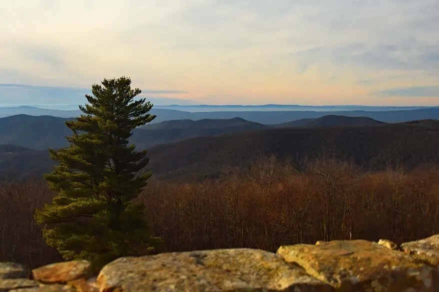 Shenandoah National Park in January