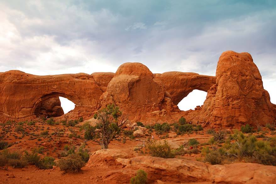 The Windows Arches