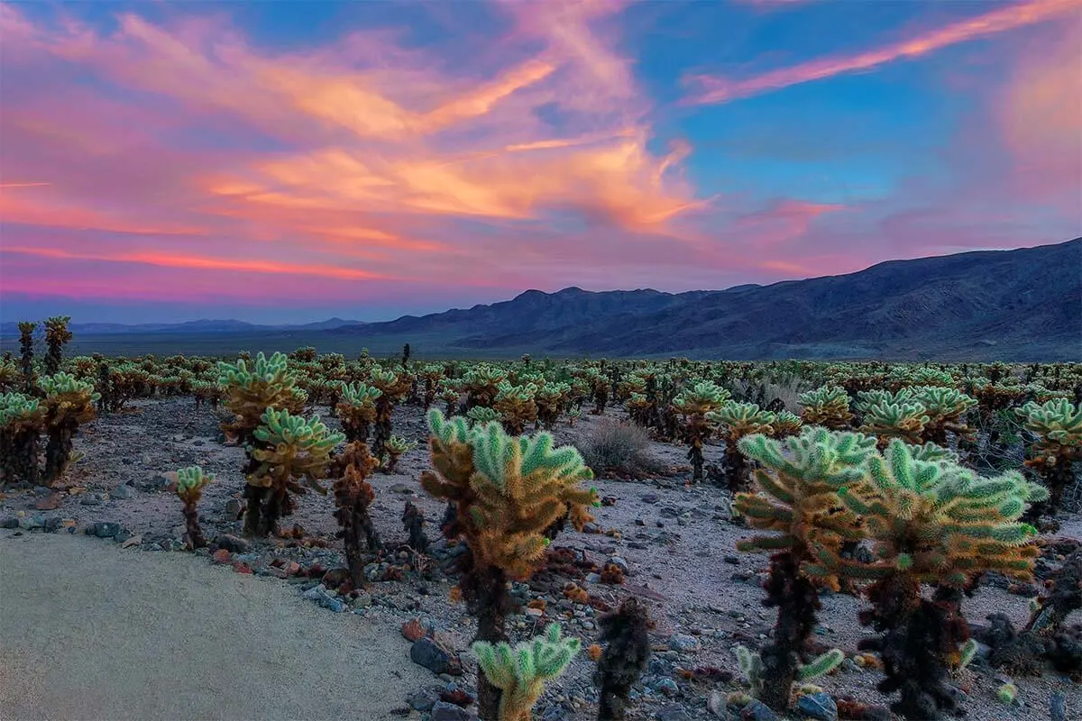 USA National Parks in December