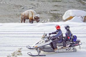 Yellowstone National Park in February