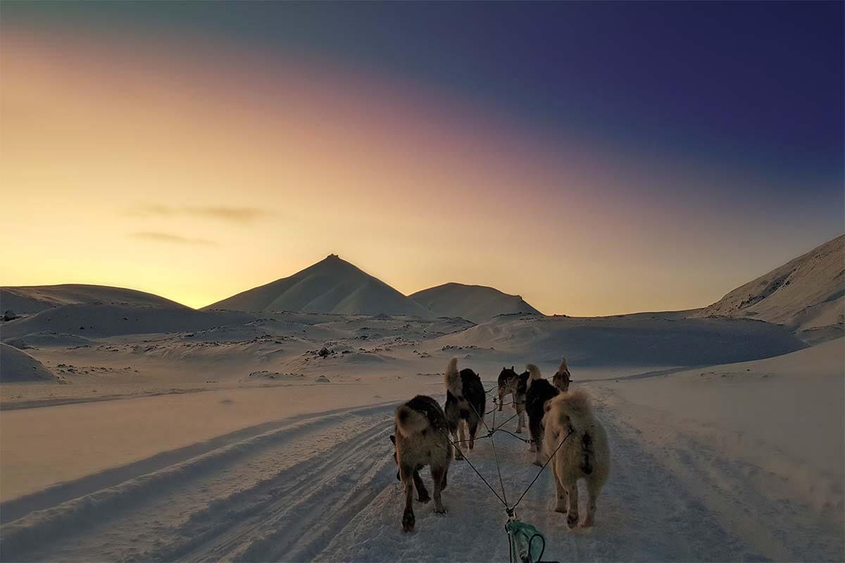 Dog Sledding & Ice Caves in Svalbard: Tour Review & Tips