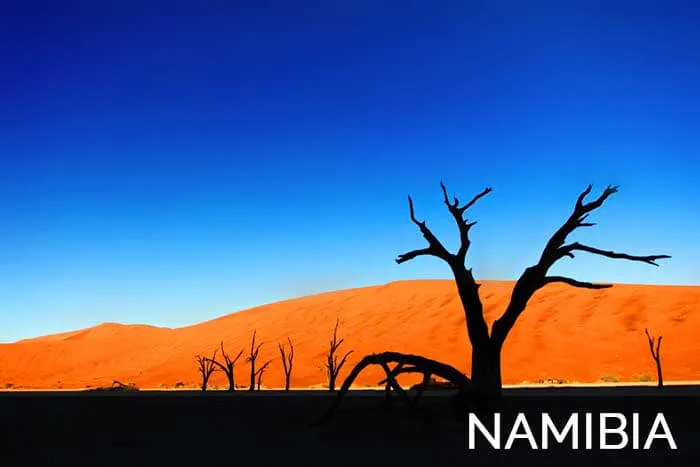 Destination Namibia