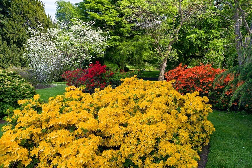 Royal Botanic Garden Edinburgh