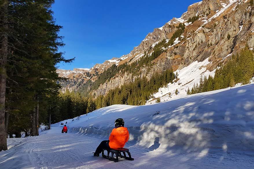 Sledding in Wengen in winter