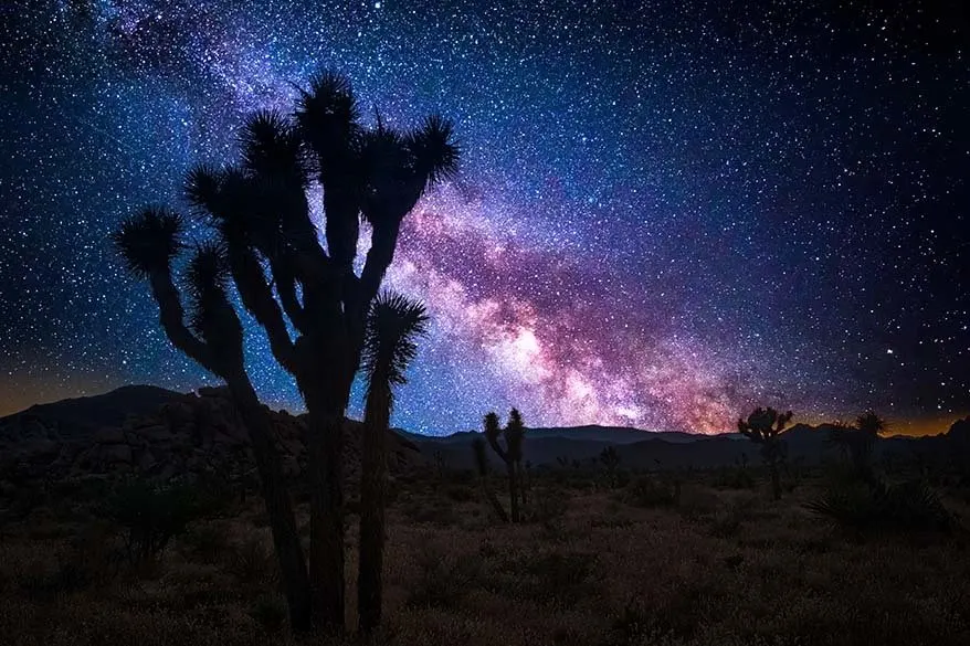 Stargazing at Joshua Tree National Park