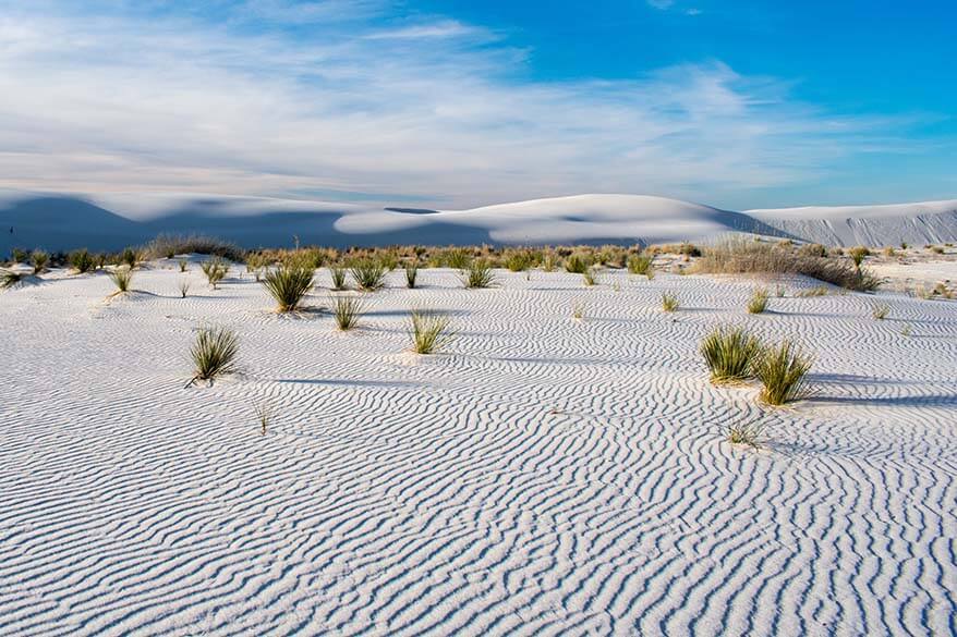 White Sands National Park in March