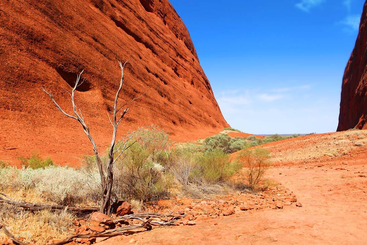 How to Visit Kata Tjuta, Australia (+ Walpa Gorge & Valley of The Winds)