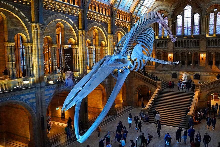 Natural History Museum in London