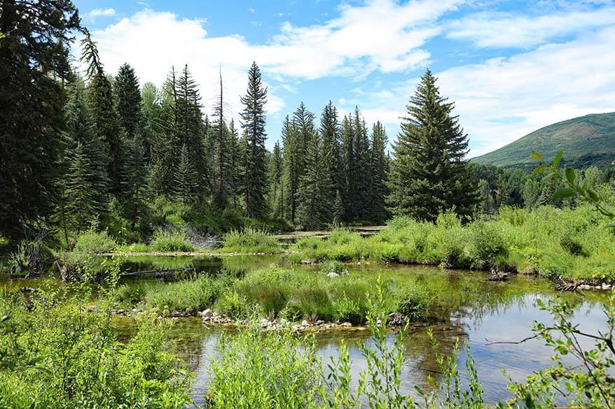 Scenery at Aspen Center for Environmental Studies