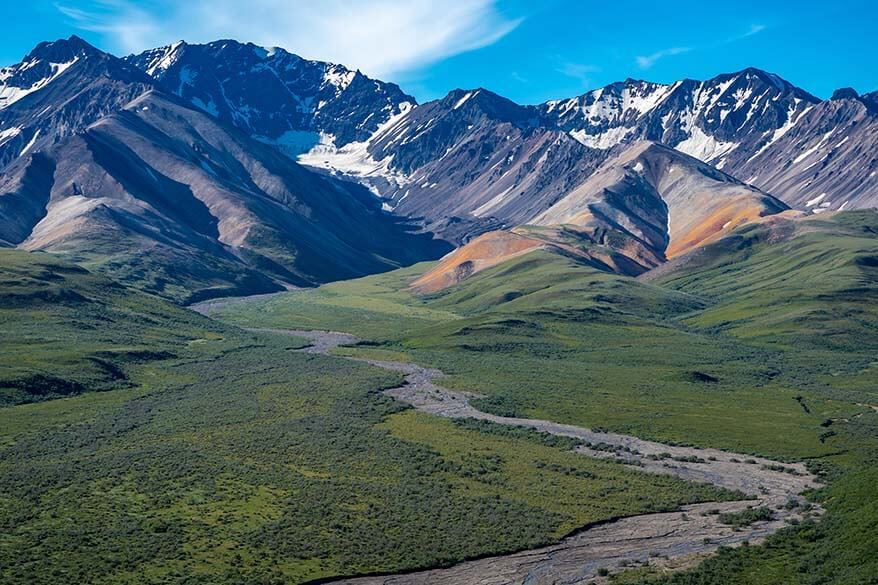 Denali National Park in summer