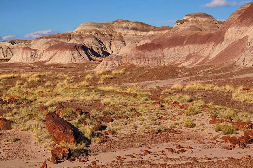 Petrified Forest National Park in Arizona