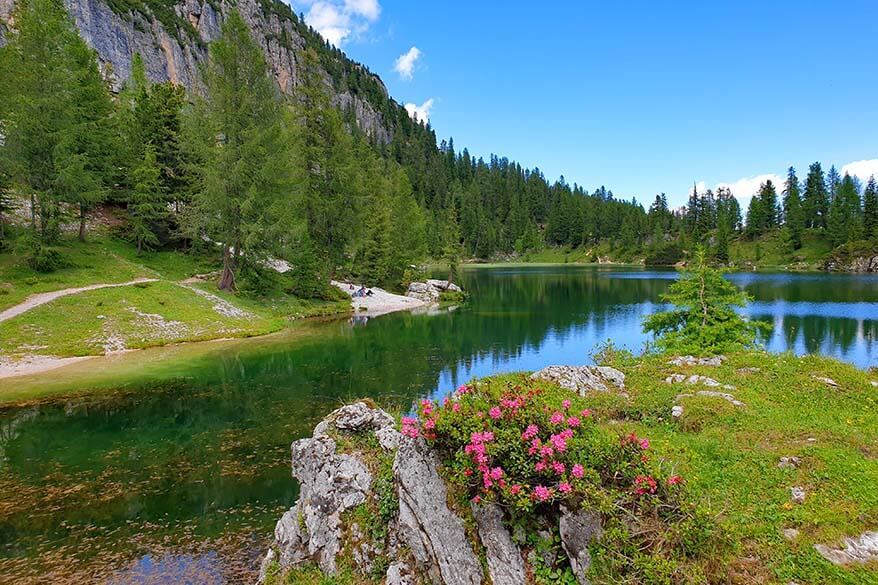 Summer flowers at Lago Federa