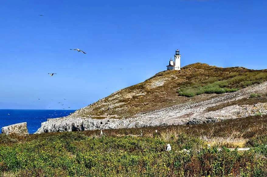 Where to go in June - Channel Islands National Park