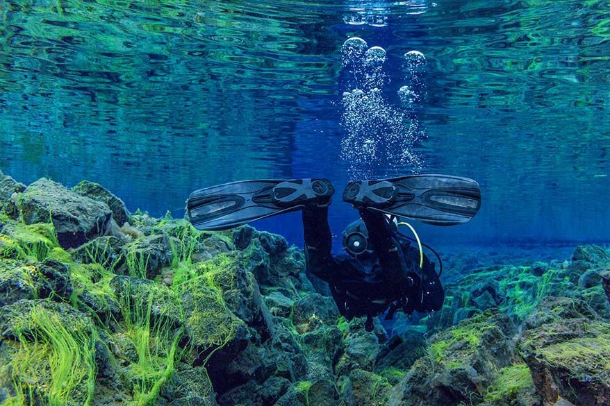 Silfra snorkeling in Thingvellir National Park in Iceland