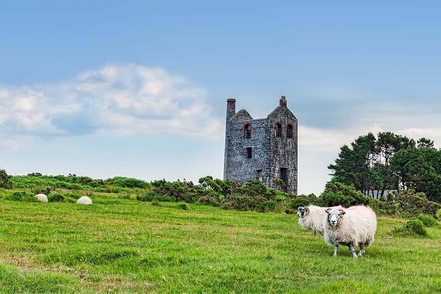 Bodmin Moor countryside in Cornwall UK