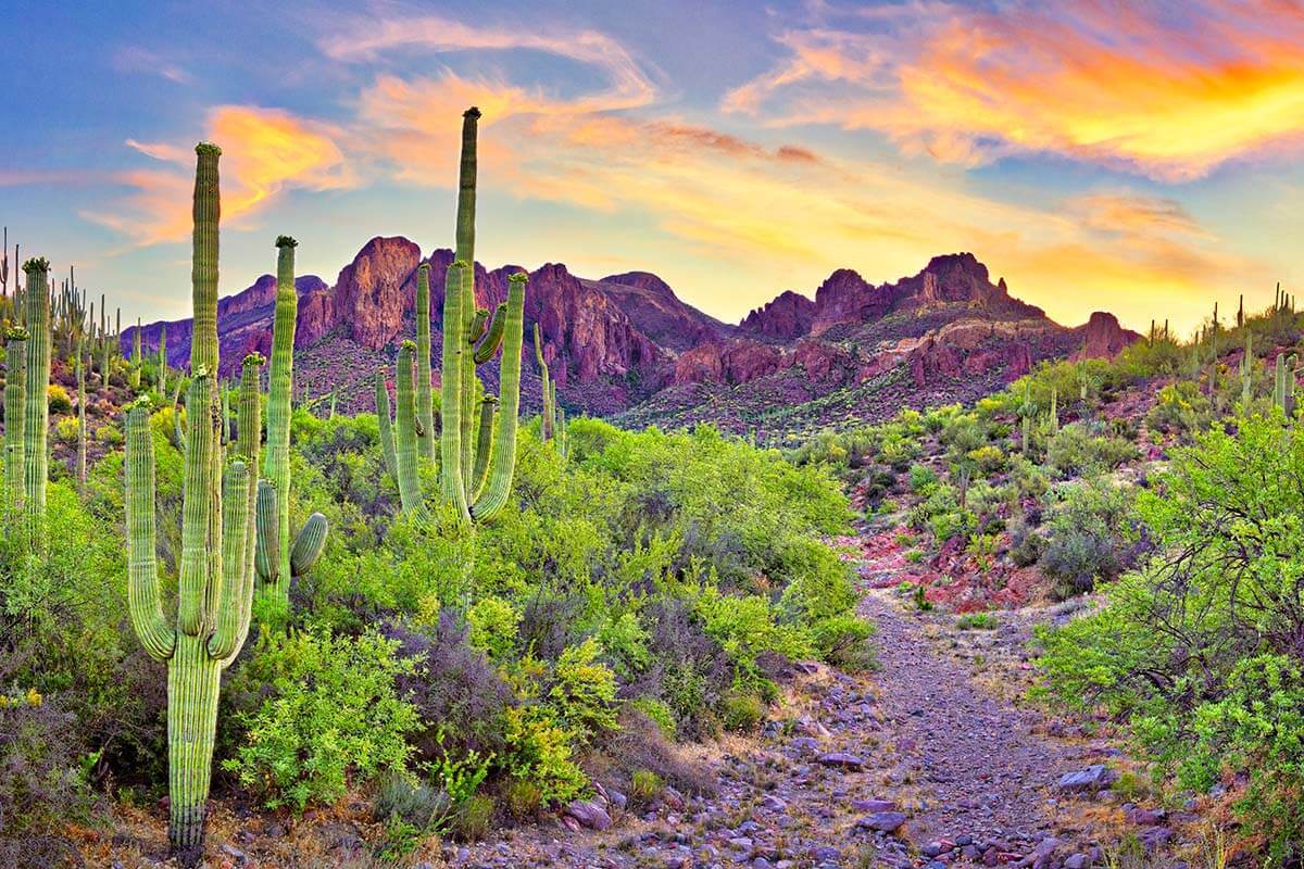 Phoenix – Scottsdale Itinerary for 1-5 Days (+ Travel Tips from a Local)