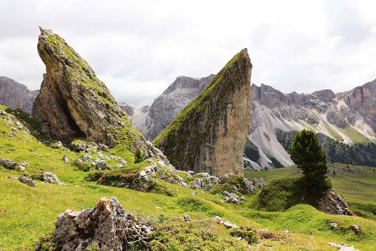 Pieralongia in Val Gardena Dolomites Italy