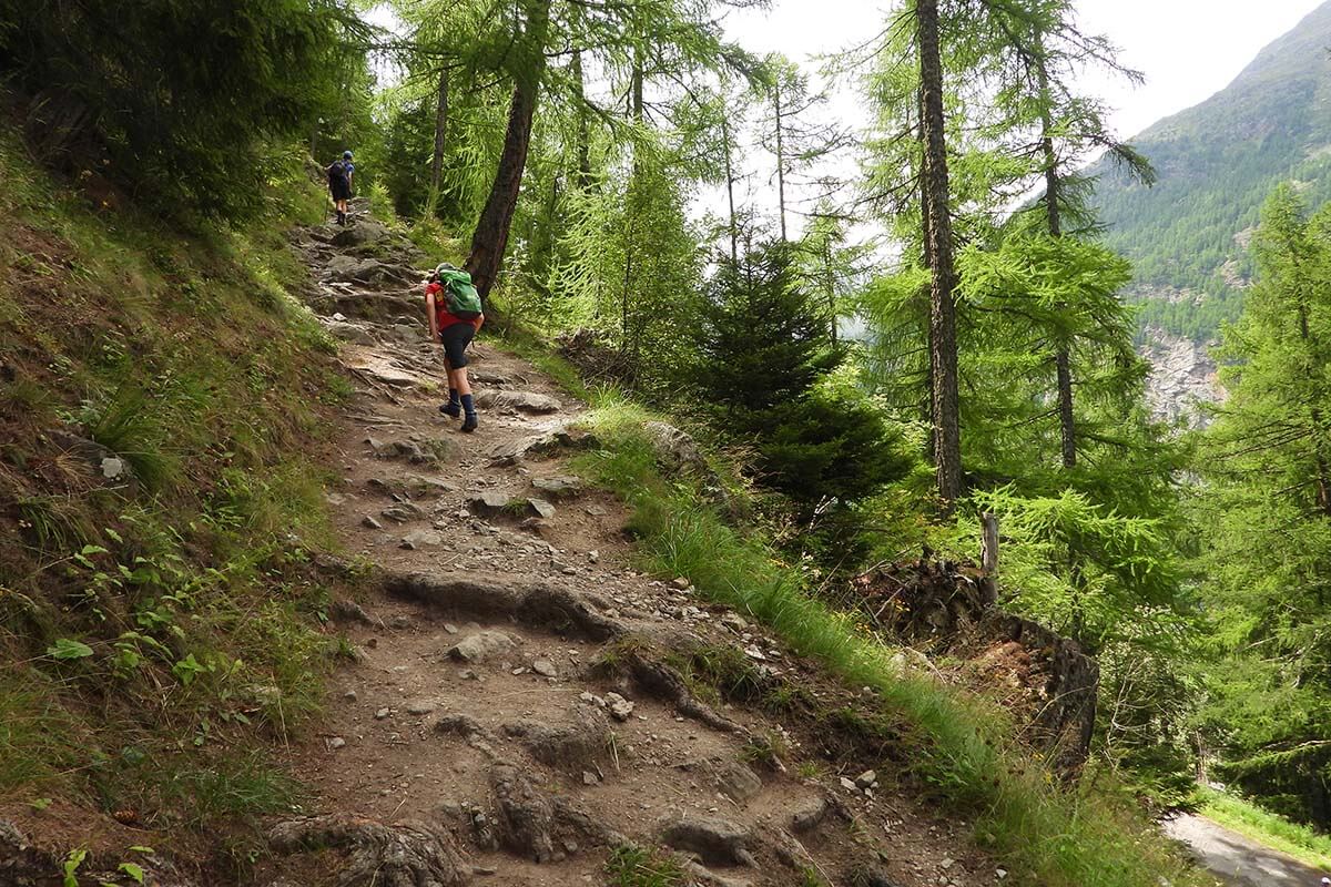 Steep hiking trail from Randa to Charles Kuonen Suspension Bridge