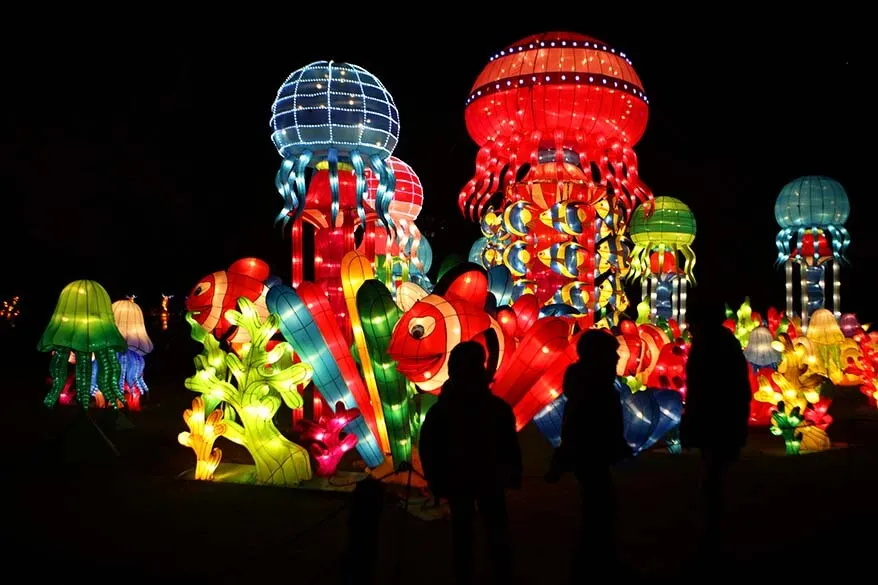 Winter light festival at Antwerp zoo