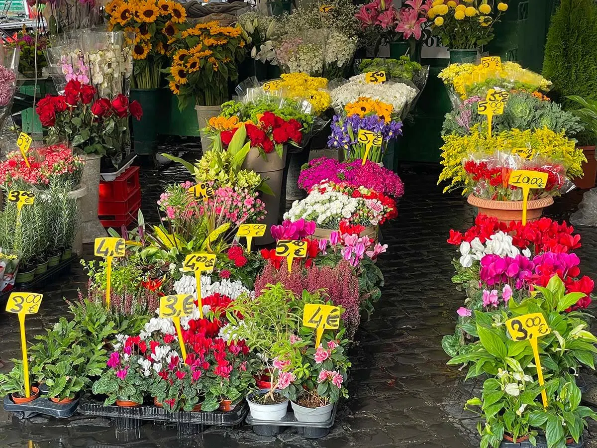 Flowers for sale at Campo de Fiori market in Rome