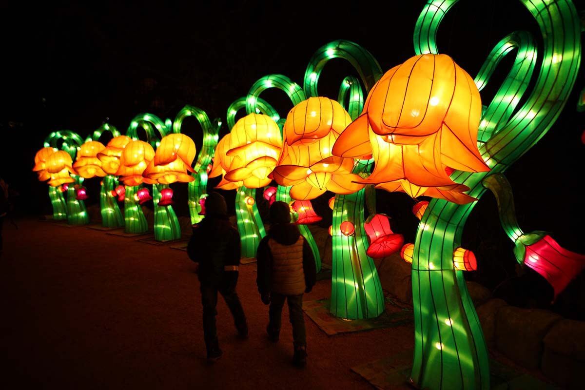 Antwerp winter light festival in Belgium