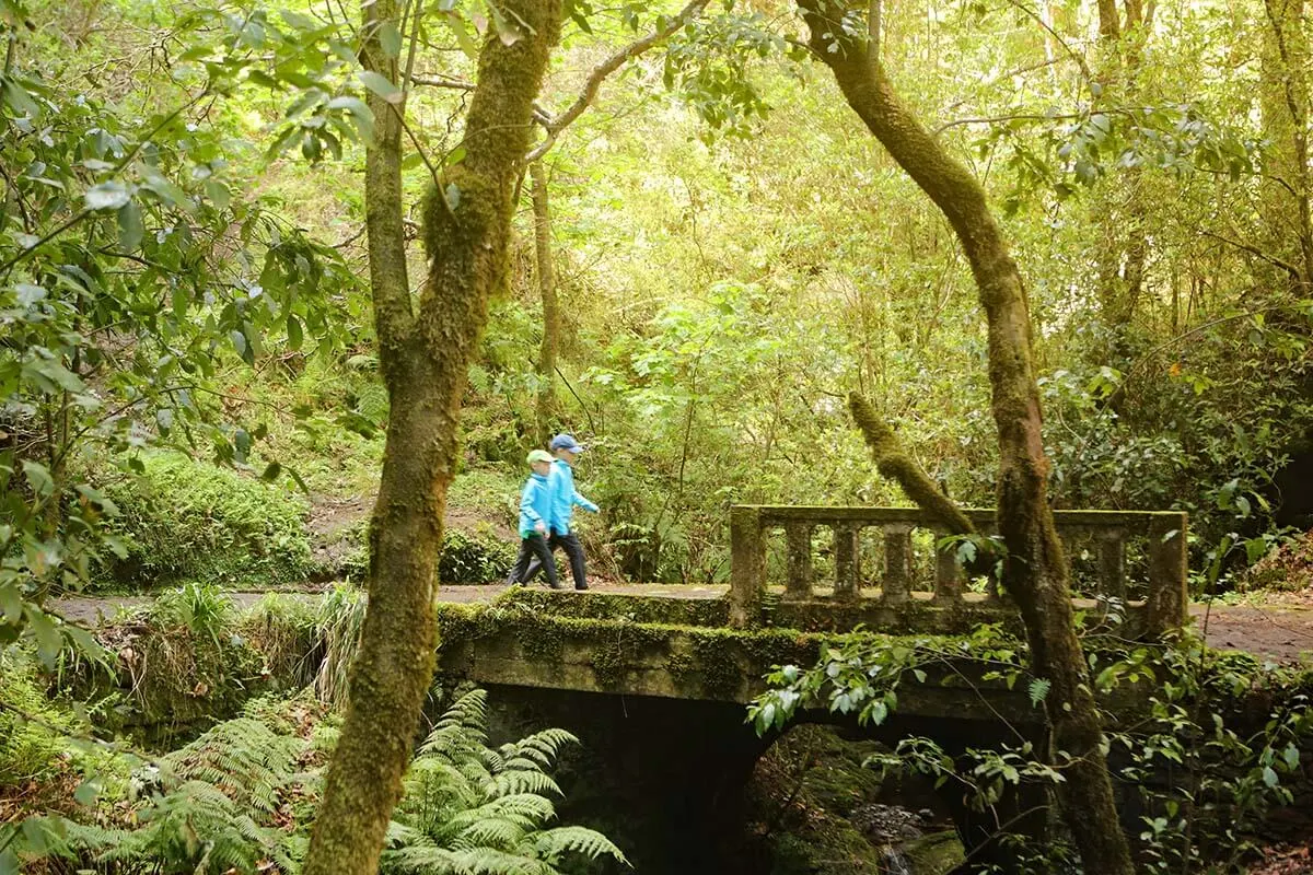 Vereda dos Balcoes hiking trail in Madeira