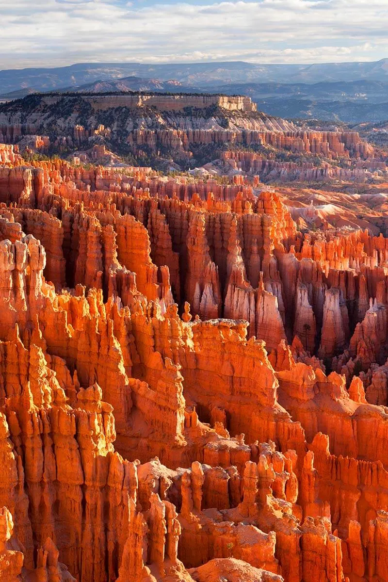 Hoodoos in Bryce Canyon National Park