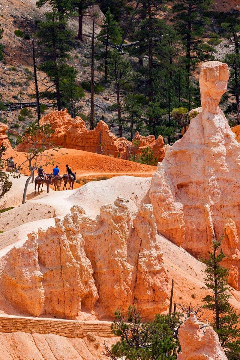 Horseback riding in Bryce Canyon National Park