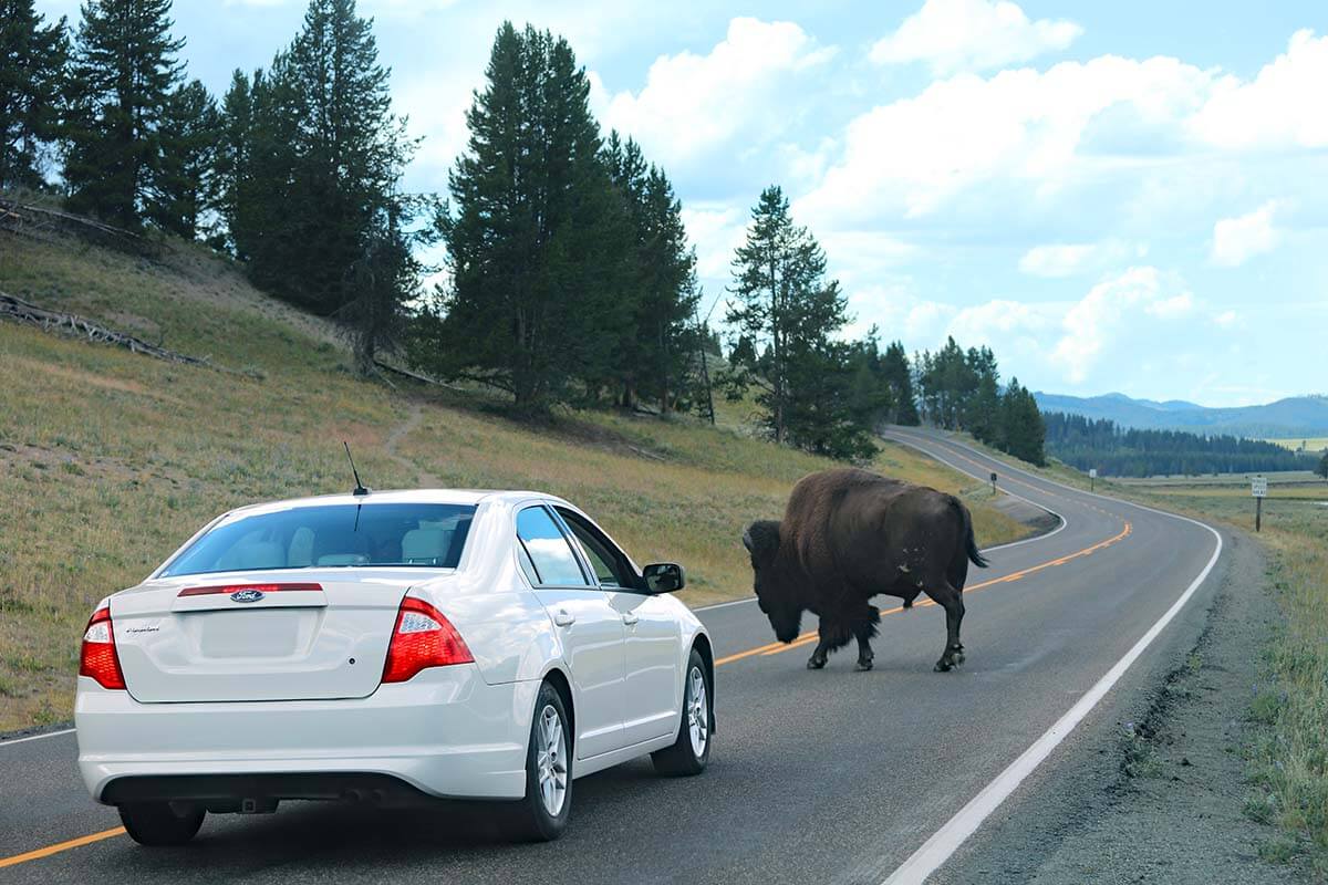 Yellowstone South Loop: 27 Places to See & Things to Do (+Map & Tips)