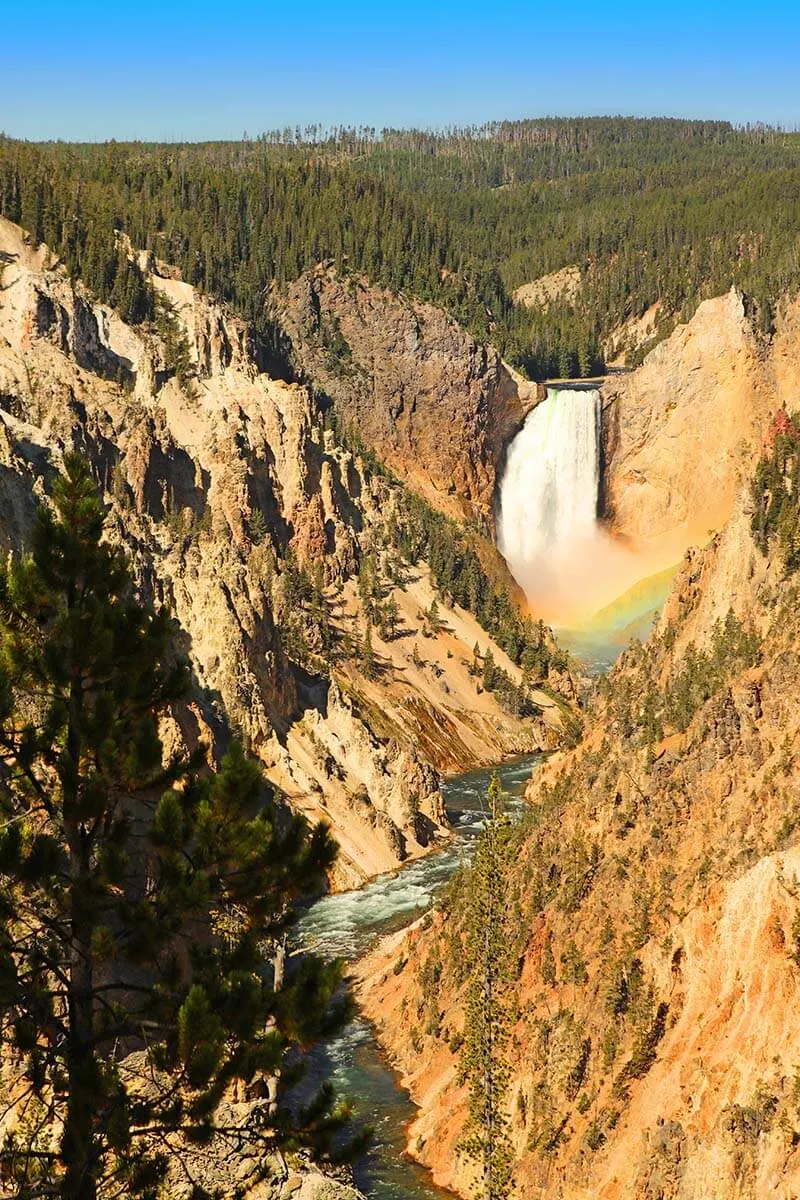 Grand Canyon of the Yellowstone - view from Artist Point.