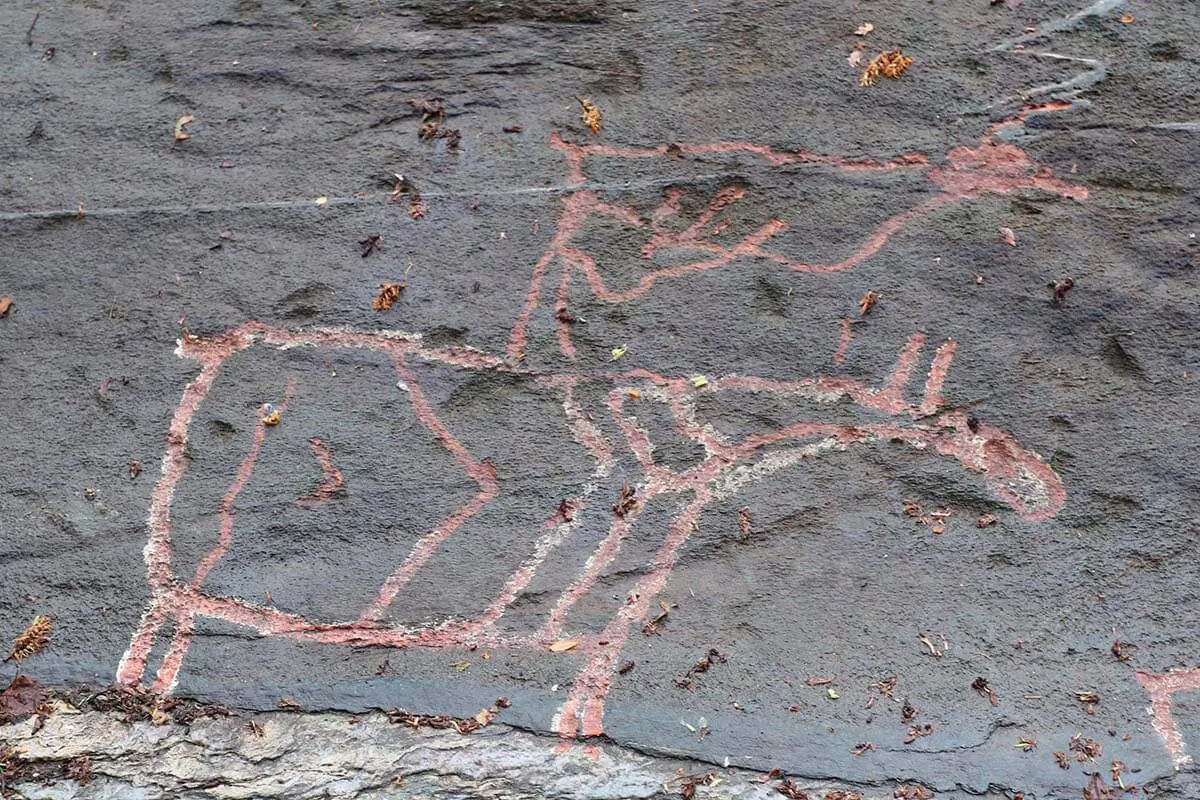 Tennes Stone Engravings in Northern Norway