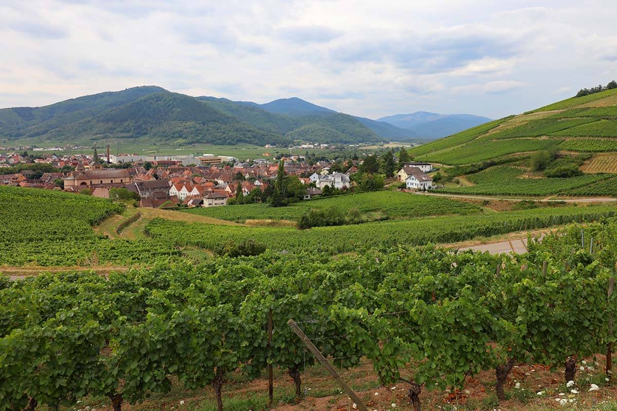 Alsace wine route scenery on the road between Turckheim and Niedermorschwihr