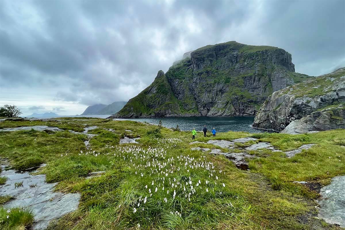 Coastal scenery near A village in Lofoten on a rainy day