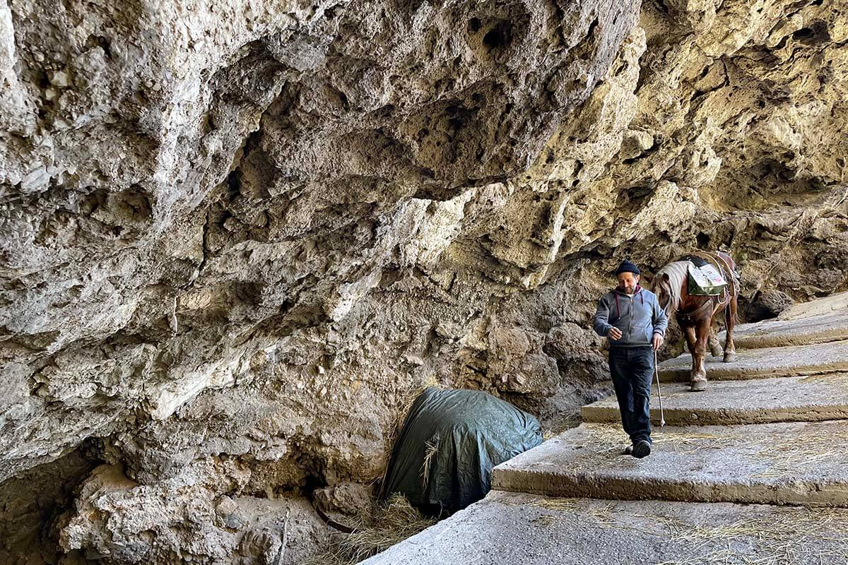 Local farmer walking with his horse on the Path of the Gods on the Amalfi Coast in Italy