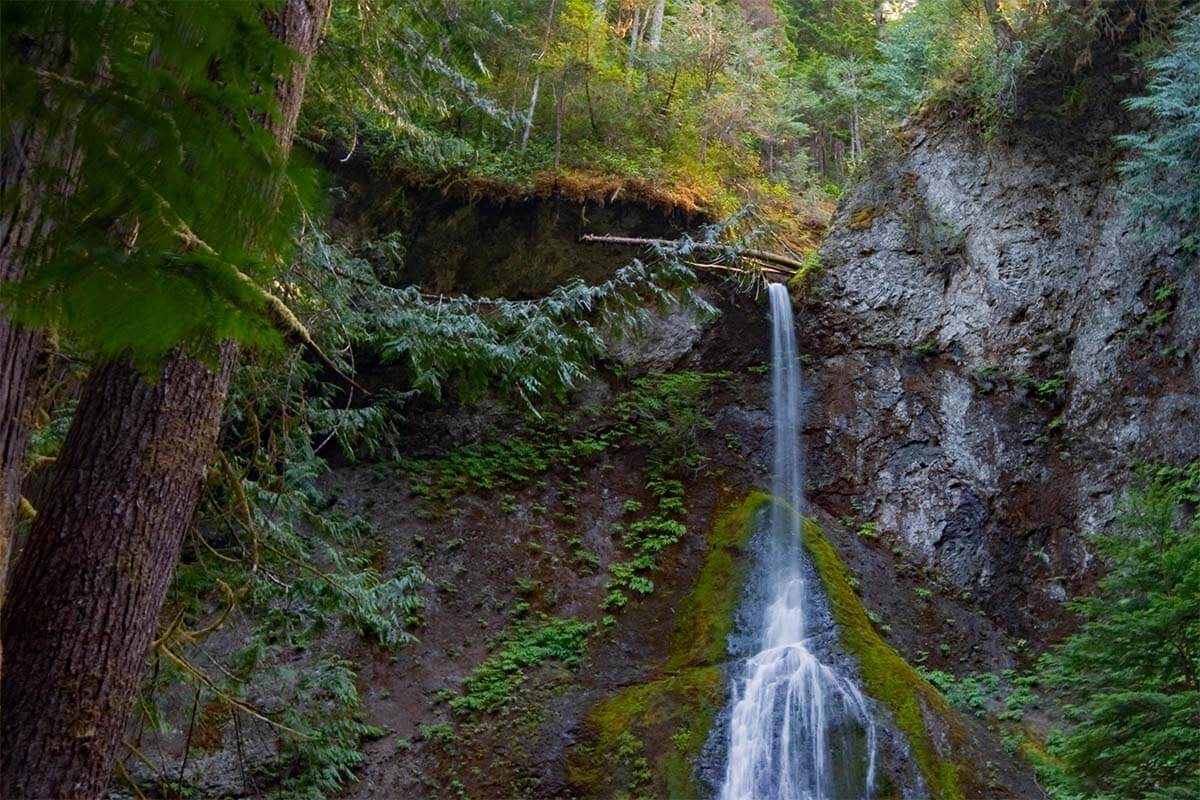 Marymere Falls in Olympic National Park