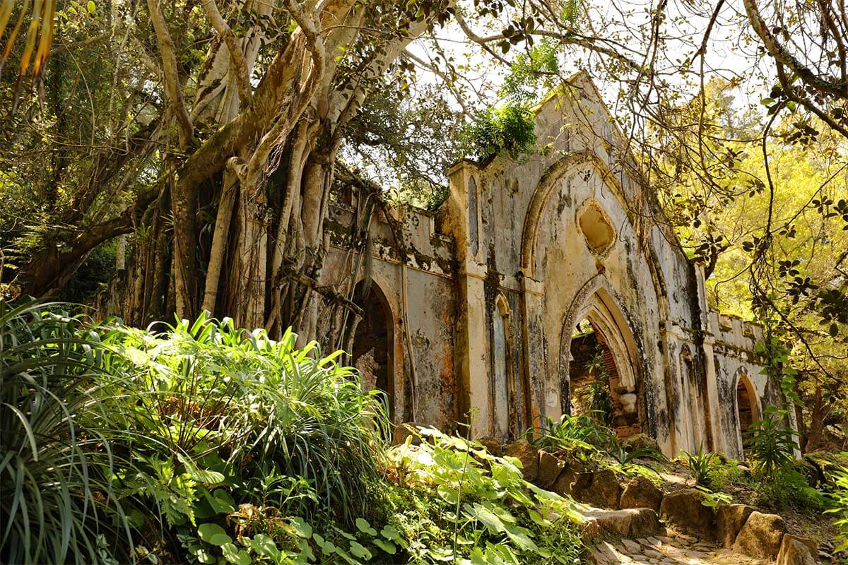 The gardens of Monserrate Palace in Sintra