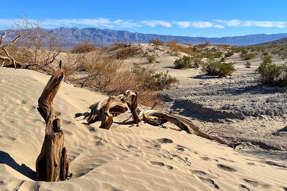 Mesquite Flat Dunes in Death Valley National Park