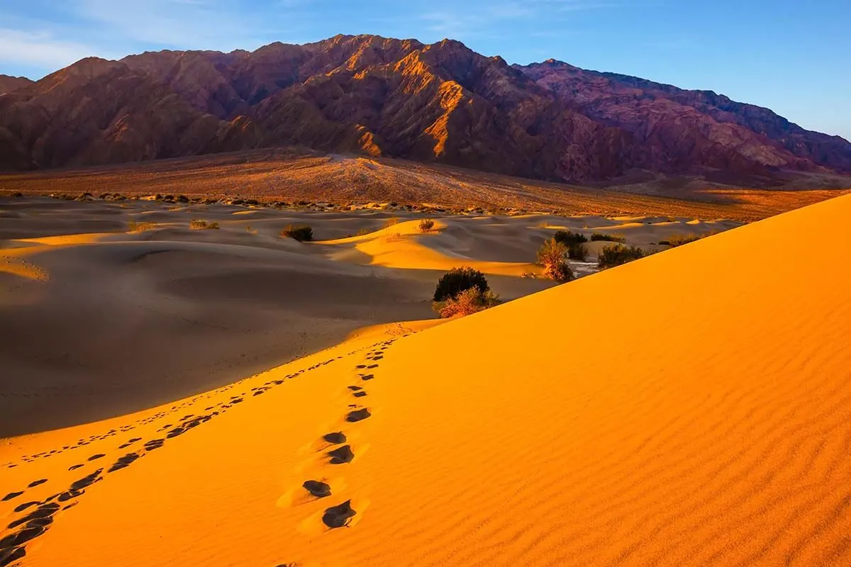 Mesquite Flat Sand Dunes at sunset - Death Valley