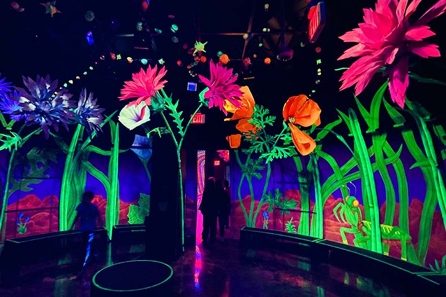 Omega Mart Meow Wolf Las Vegas