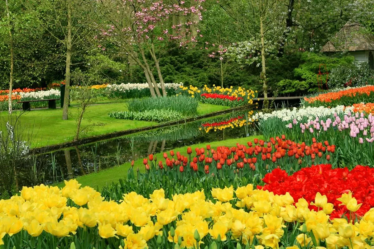 Keukenhof garden near Amsterdam, Netherlands