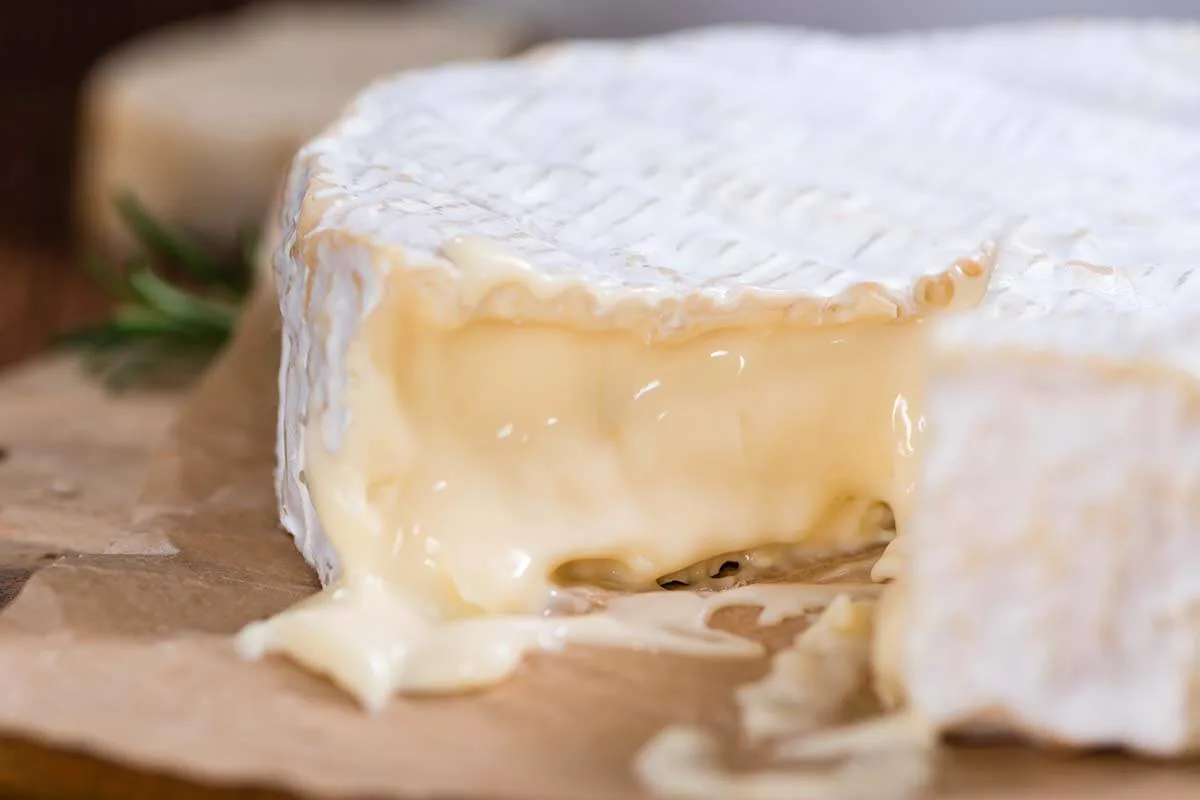 French Camembert cheese