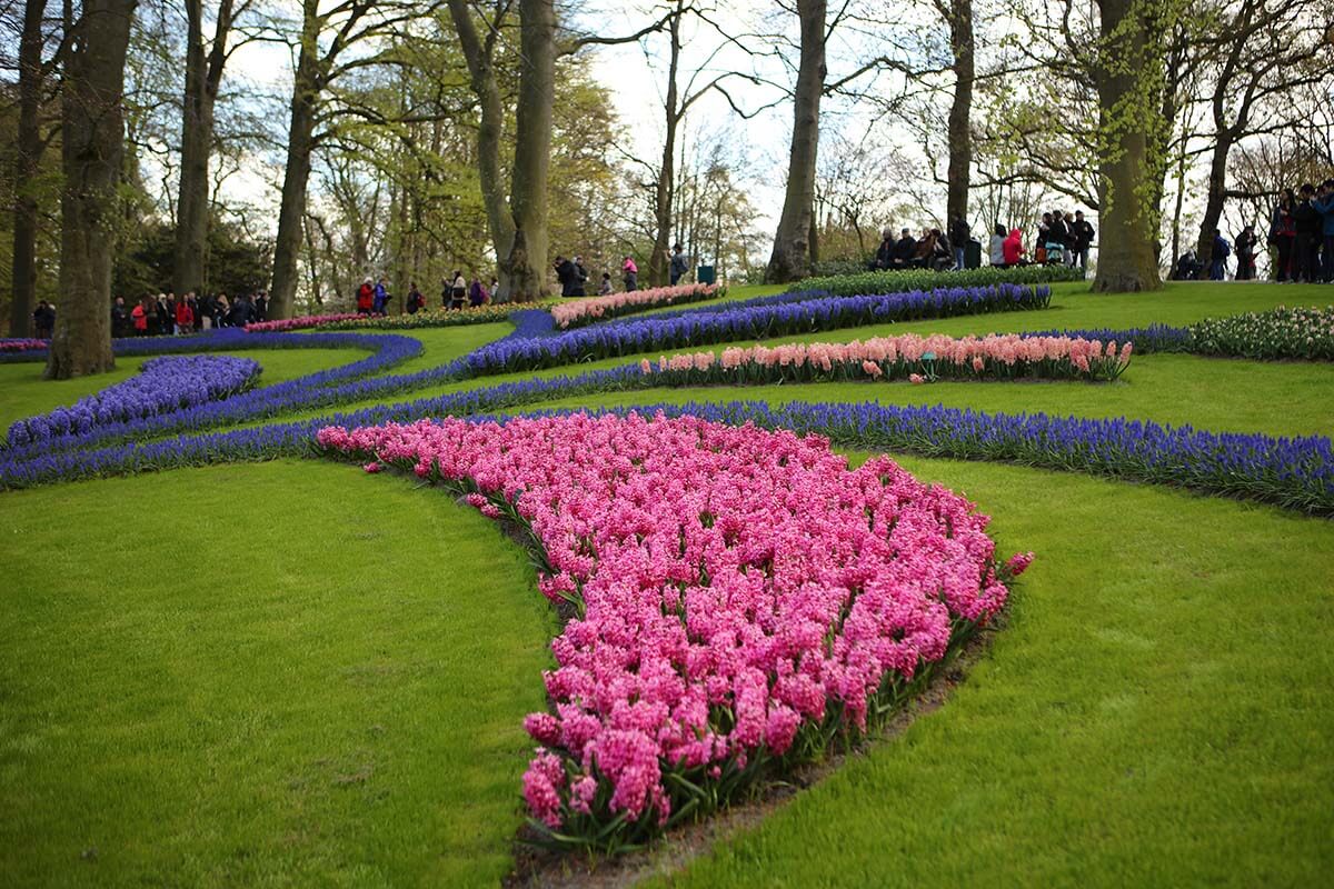 Keukenhof park spring flowers in April