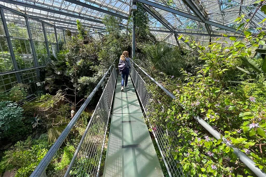 Hortus Botanicus Amsterdam botanical garden