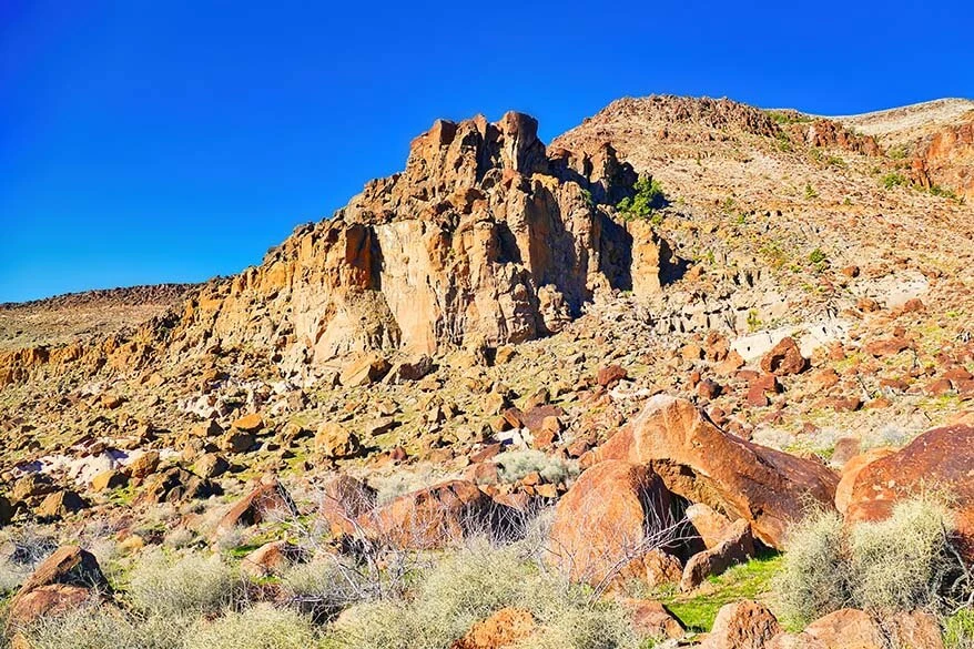 Mojave National Preserve