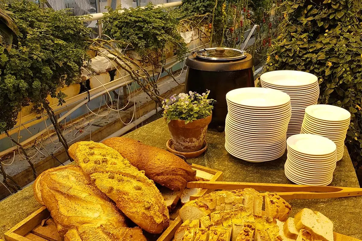 Tomato soup and bread at Fridheimar Tomato Farm restaurant in Iceland