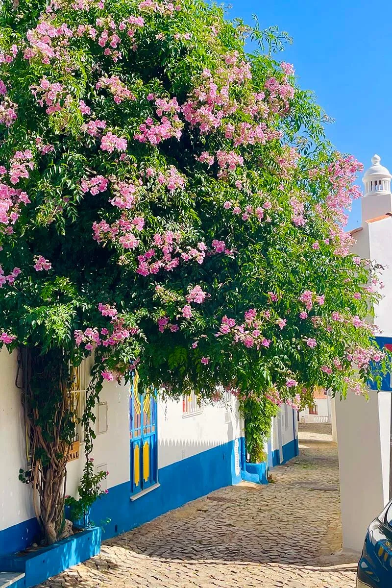 Alte old town street and flowers - Algarve Portugal