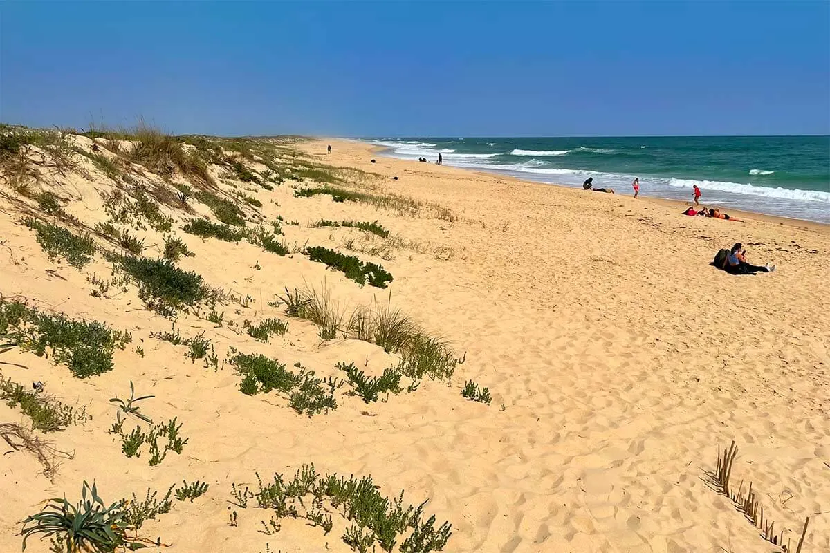 Culatra Island in Ria Formosa nature reserve near Faro Portugal