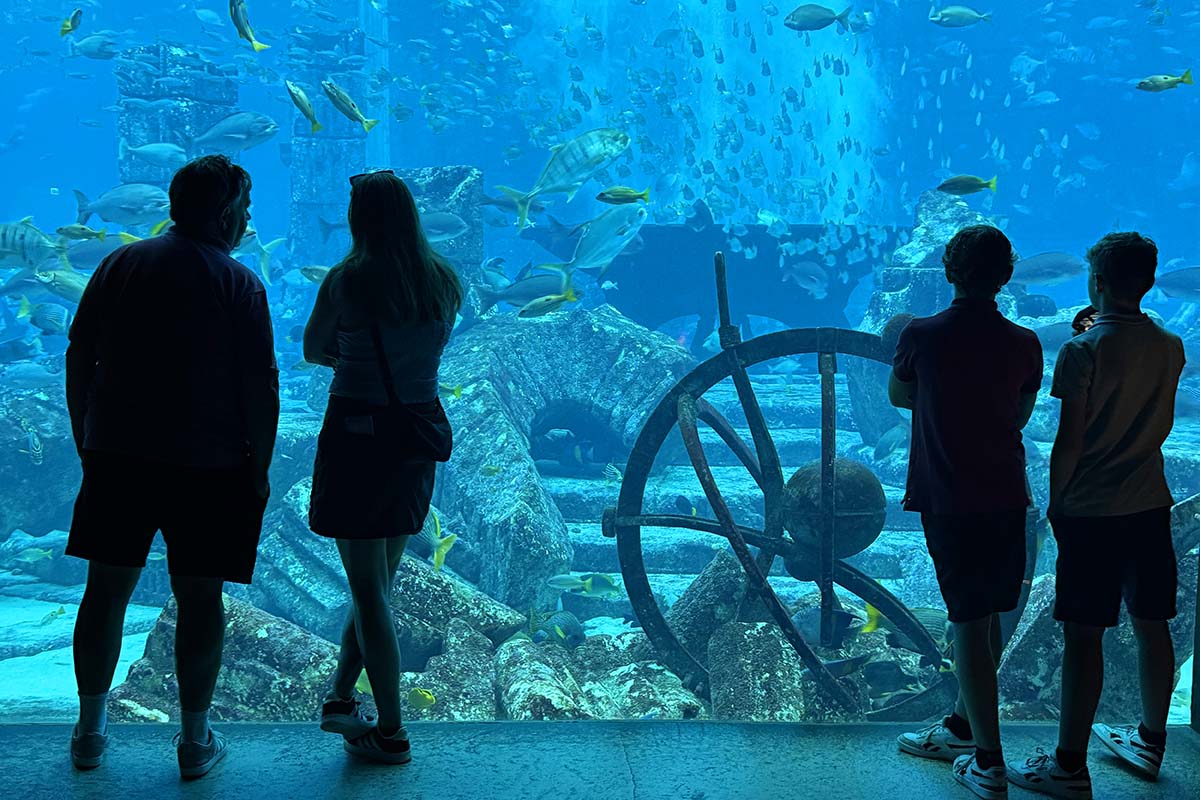 Lost Chambers Aquarium - top places in Dubai