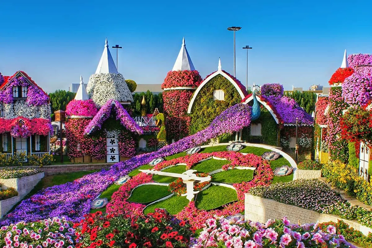 Miracle Garden Dubai