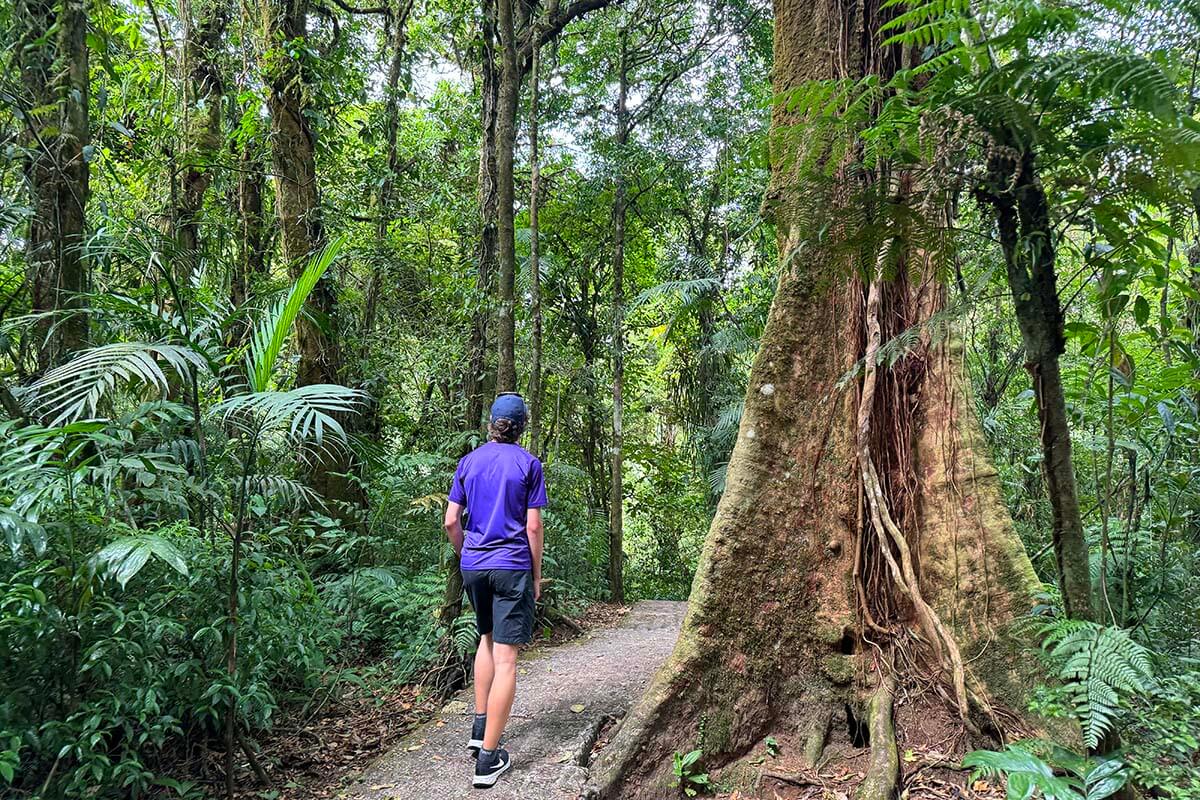 Hiking in Monteverde Cloud Forest, Costa Rica